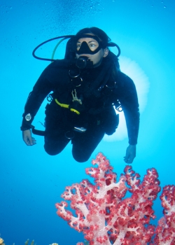 Upgrade Scuba Diver to OW