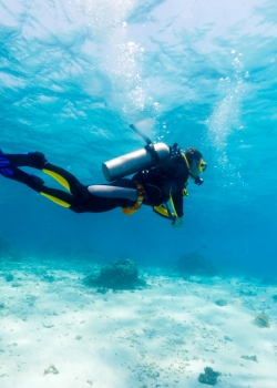 PADI Divemaster Program