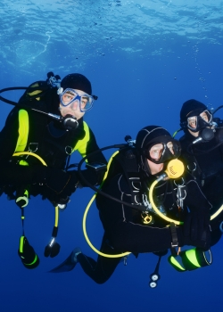 Padi Scuba Diver
