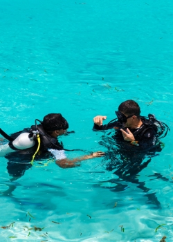 Discover Scuba Diver