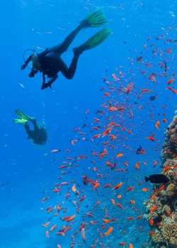 PADI Adventure Diver